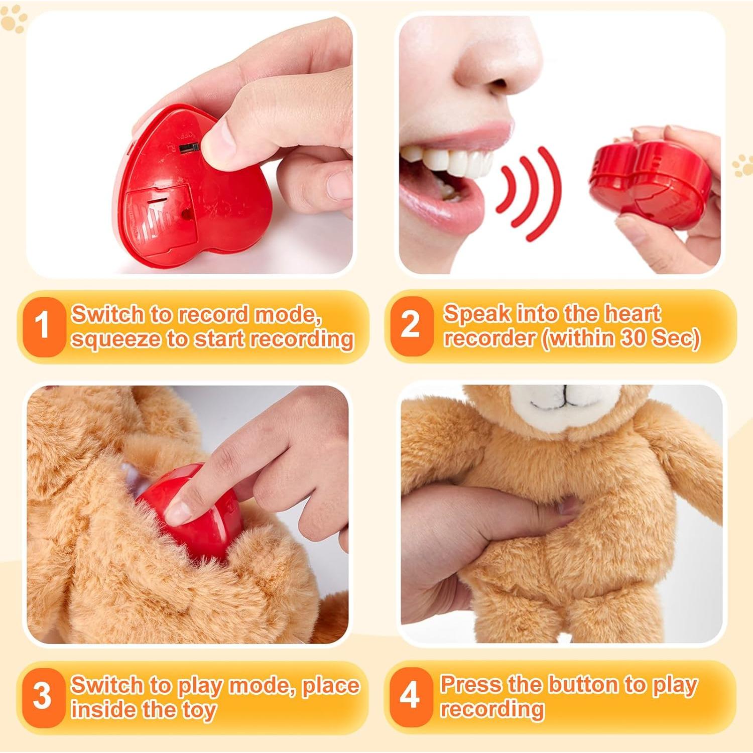 Oso de Peluche Grabador de Voz CozyWorld 30 cm Marrón