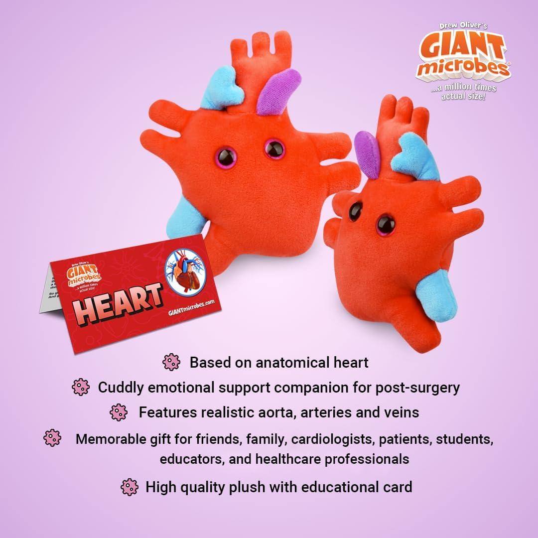 Peluche Corazón Anatómico Giant Microbes 15.24 cm Educativo