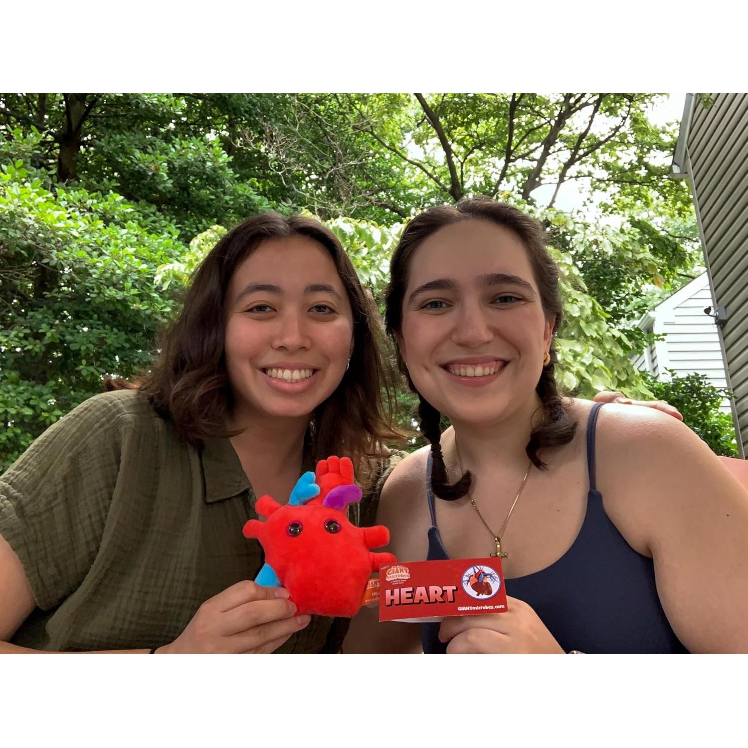 Peluche Corazón Anatómico Giant Microbes 15.24 cm Educativo