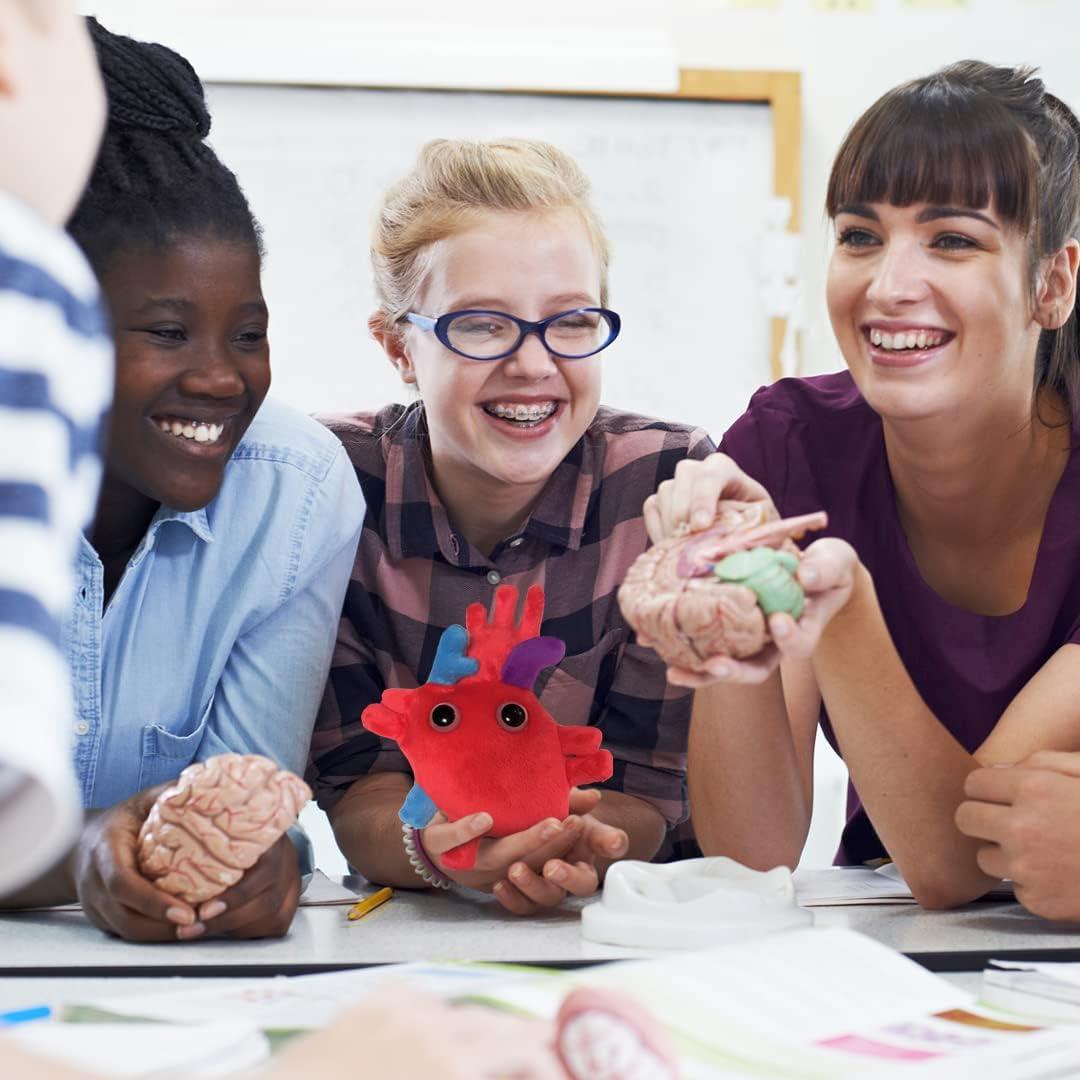 Peluche Corazón Anatómico Giant Microbes 15.24 cm Educativo