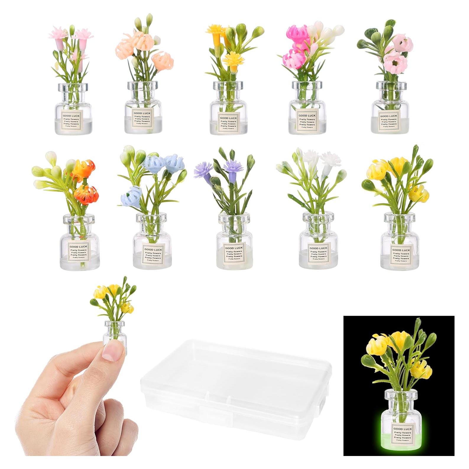 Juego de 10 Plantas Miniatura que Brillan en la Oscuridad