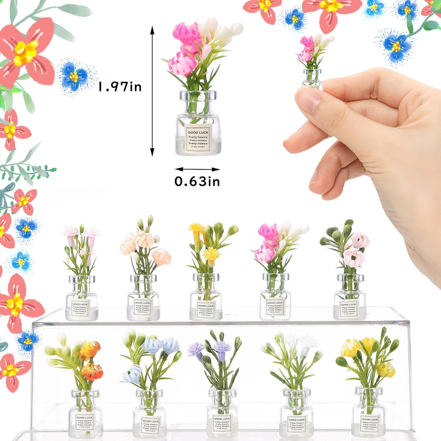 Juego de 10 Plantas Miniatura que Brillan en la Oscuridad