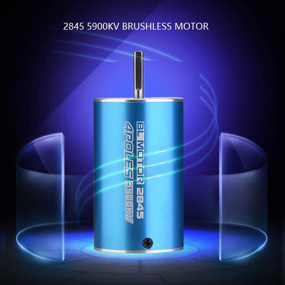 Motor RC Sin Escobillas Dilwe 2845 5000KV/5900KV 1/12 1/14