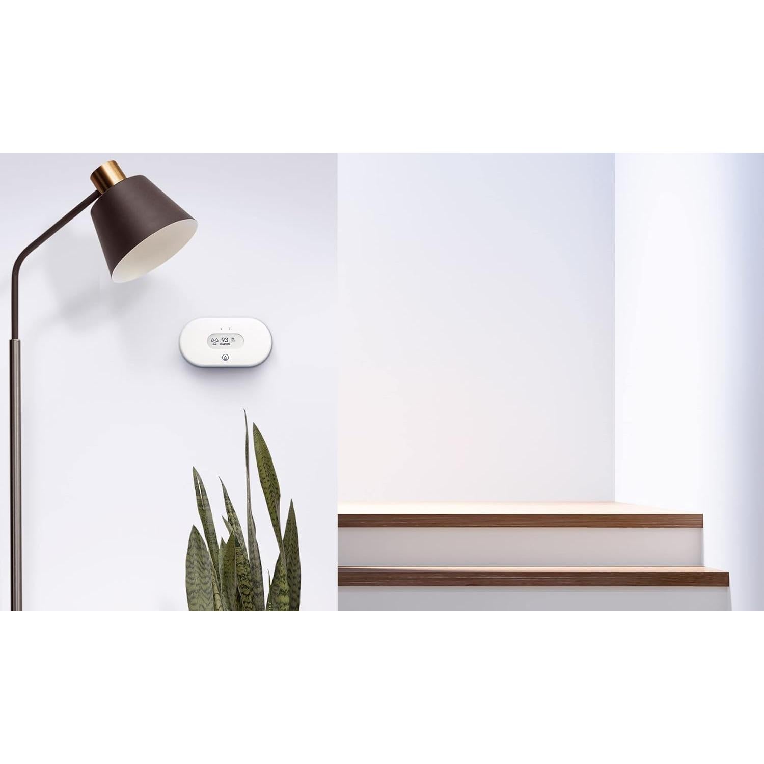 Airthings Vista Radón - Monitor de Radón y Humedad WiFi