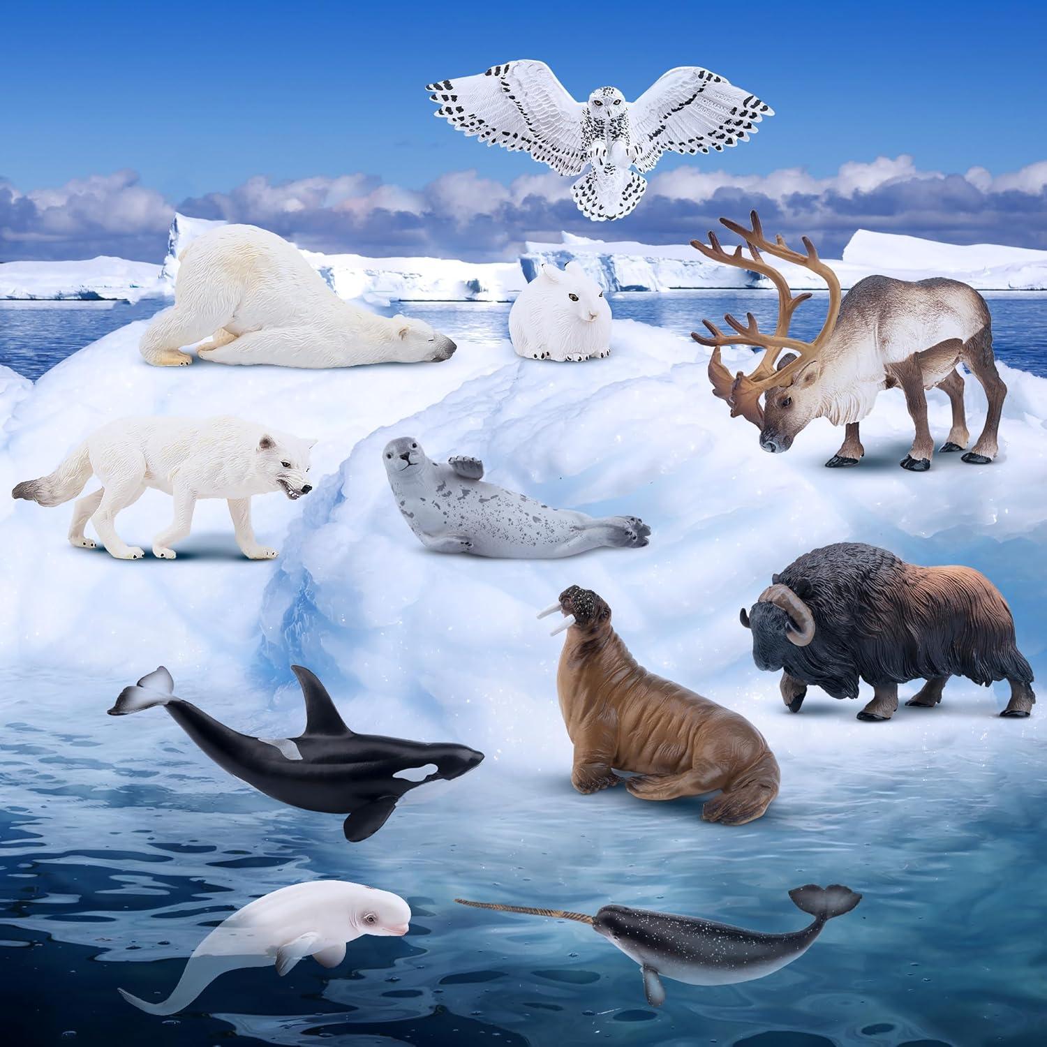 Set de Figuras de Animales Árticos Toymany 12PCS - Oso Polar, Morsa y Más