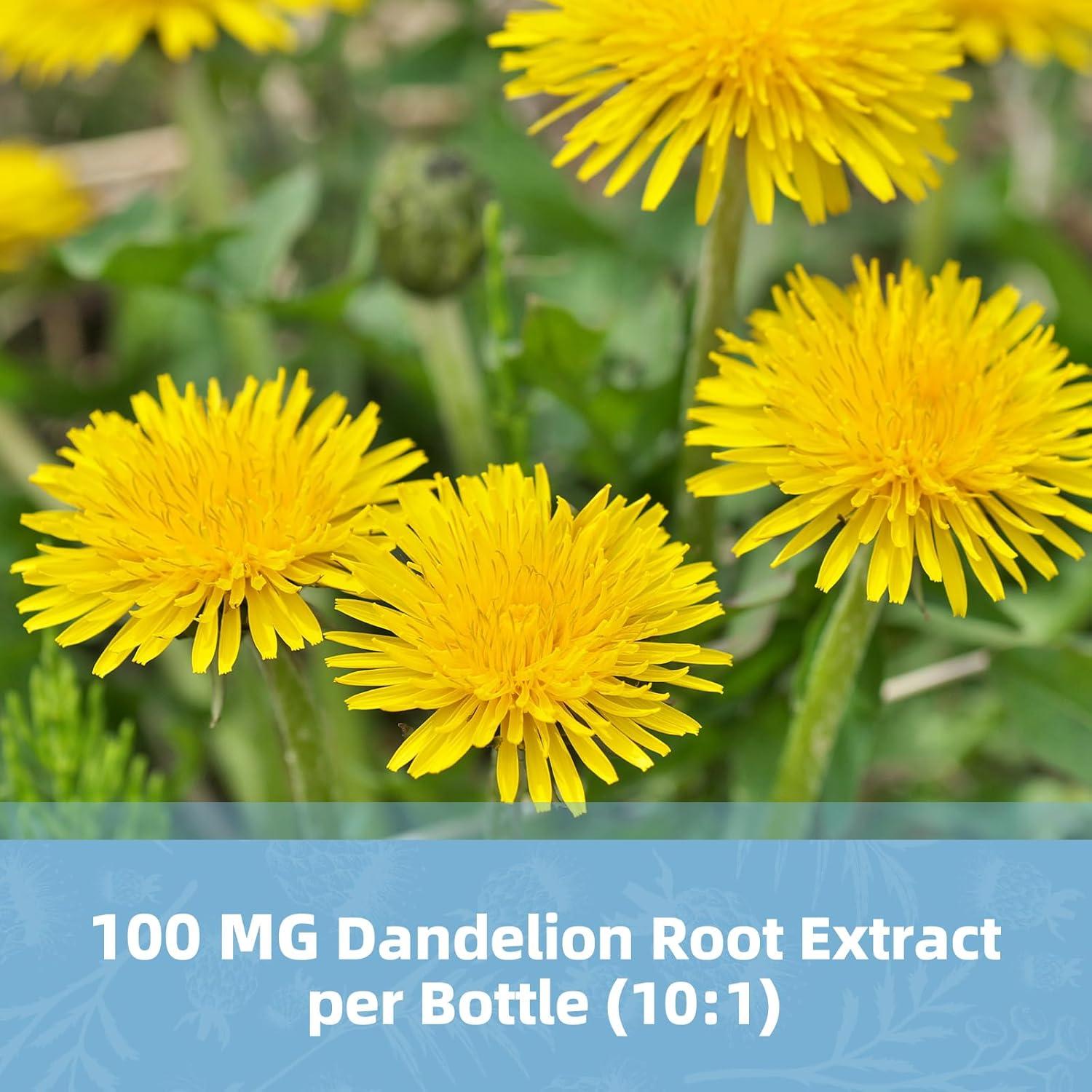 Cápsulas de Cardo Mariano BBEEAAUU 120 Unidades 500mg