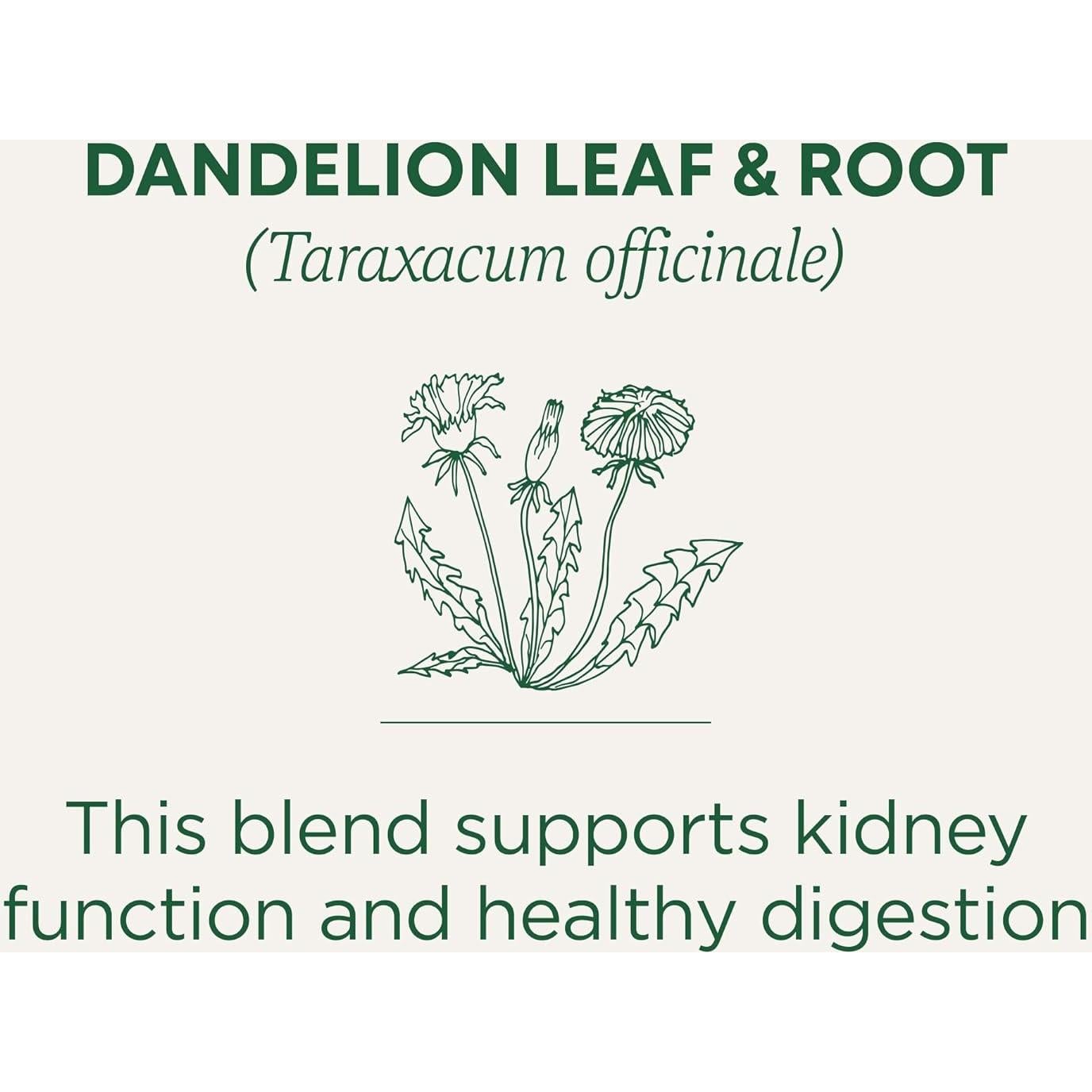 Té Diente de León Orgánico 16 Bolsitas - Apoya Función Renal