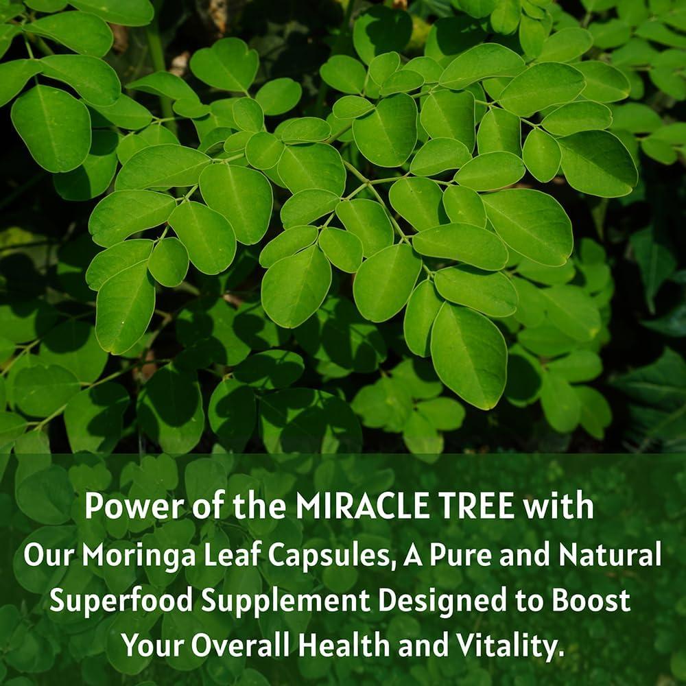 Cápsulas de Moringa Orgánica Ireya Ayurveda 1000 mg - 120 Unidades