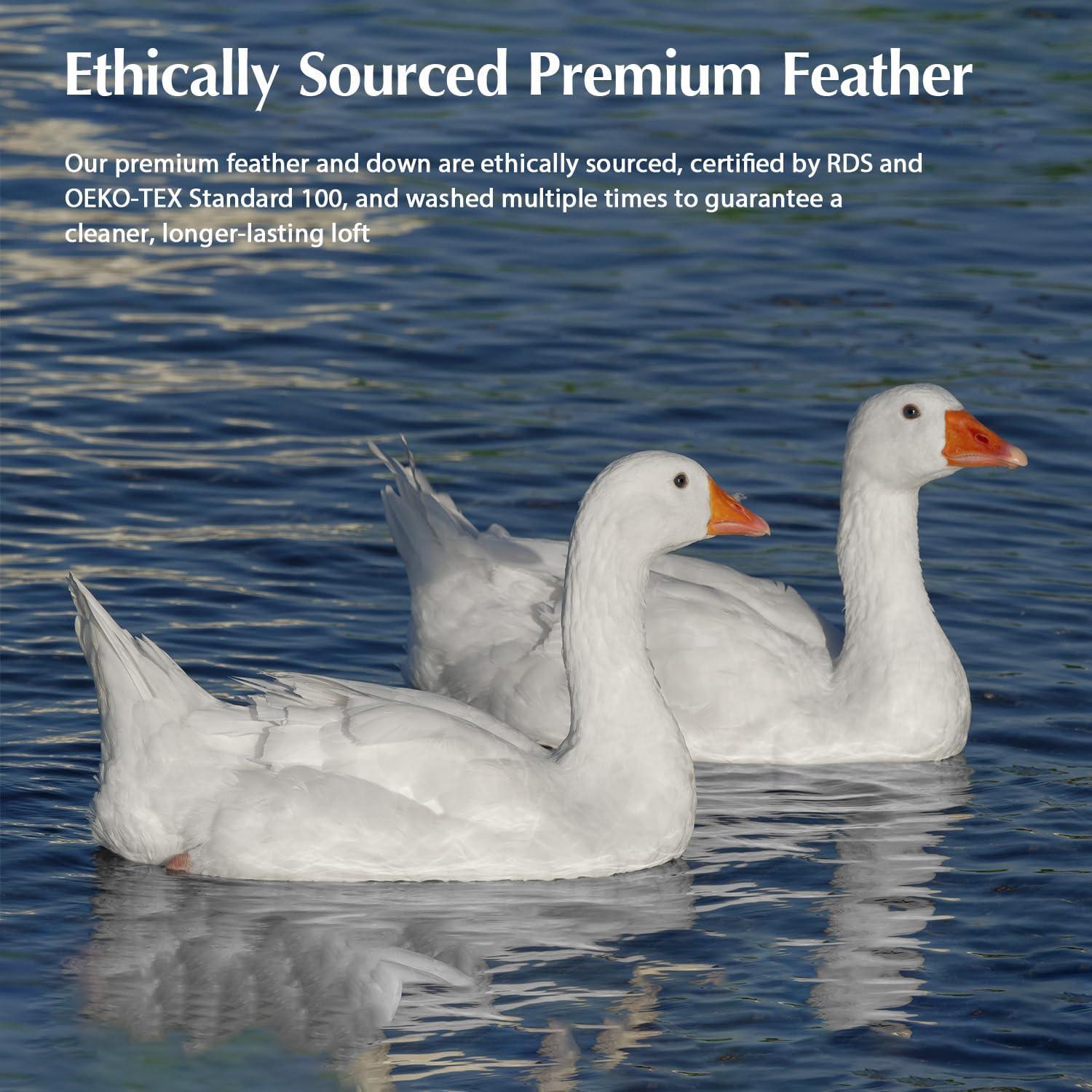 Edredón de Plumas de Ganso Costa del Pacífico Queen 228.6cm