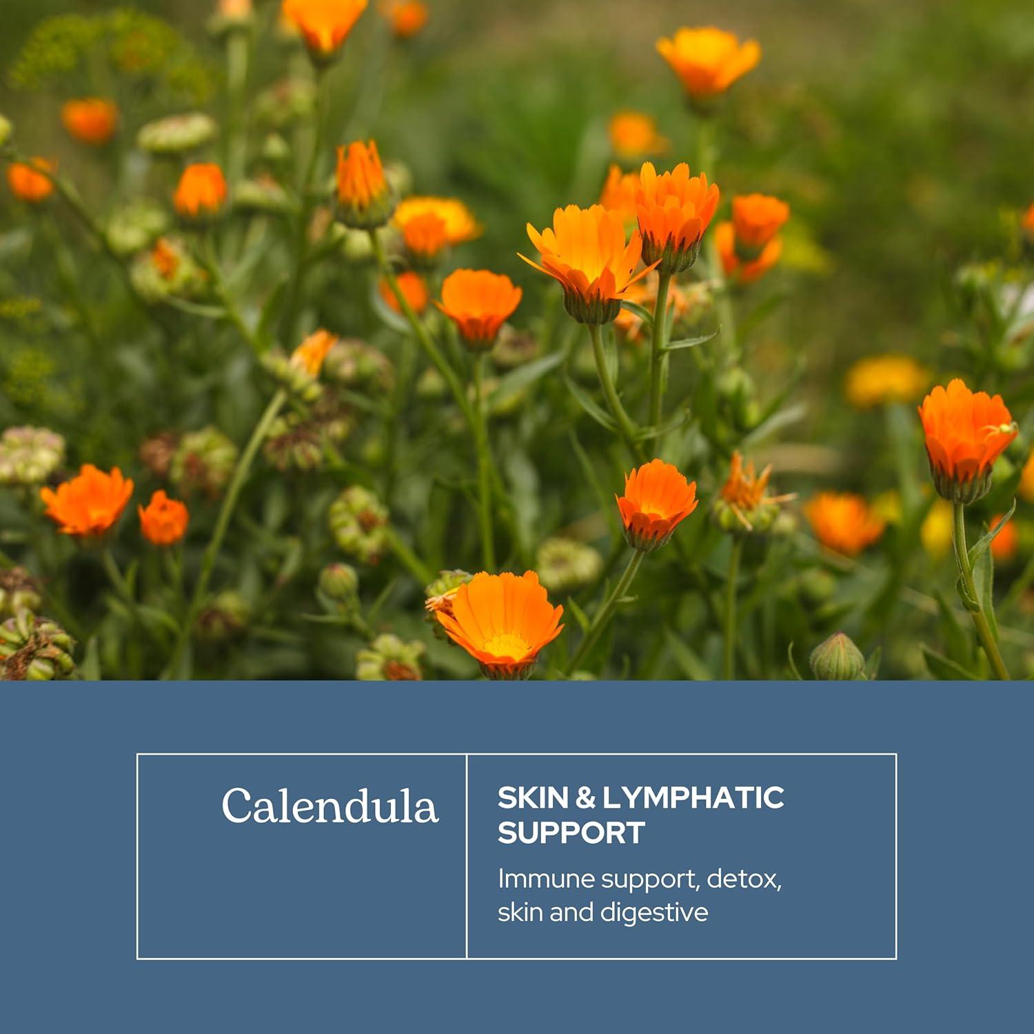 Cápsulas de Caléndula Ecléctica 90 CT - Suplemento Vegano