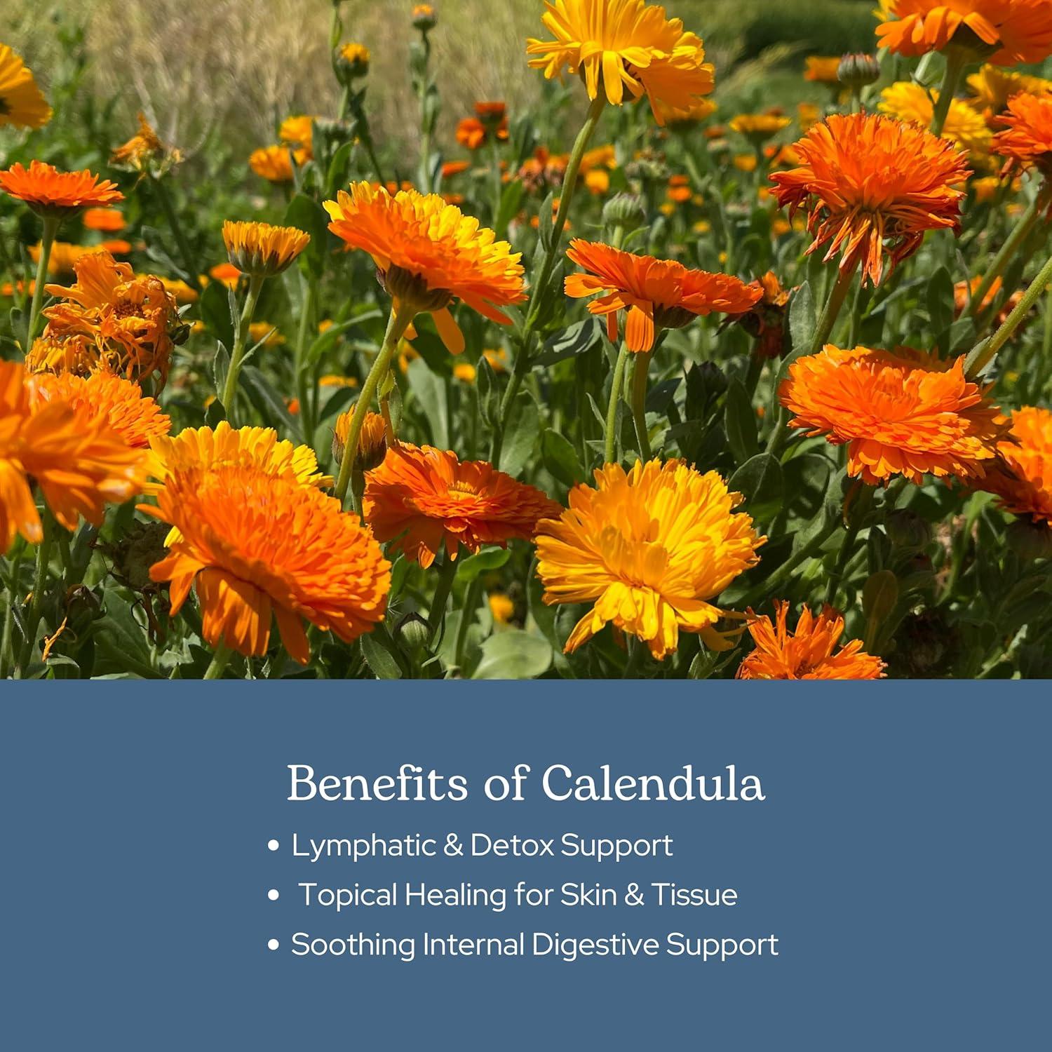 Cápsulas de Caléndula Ecléctica 90 CT - Suplemento Vegano