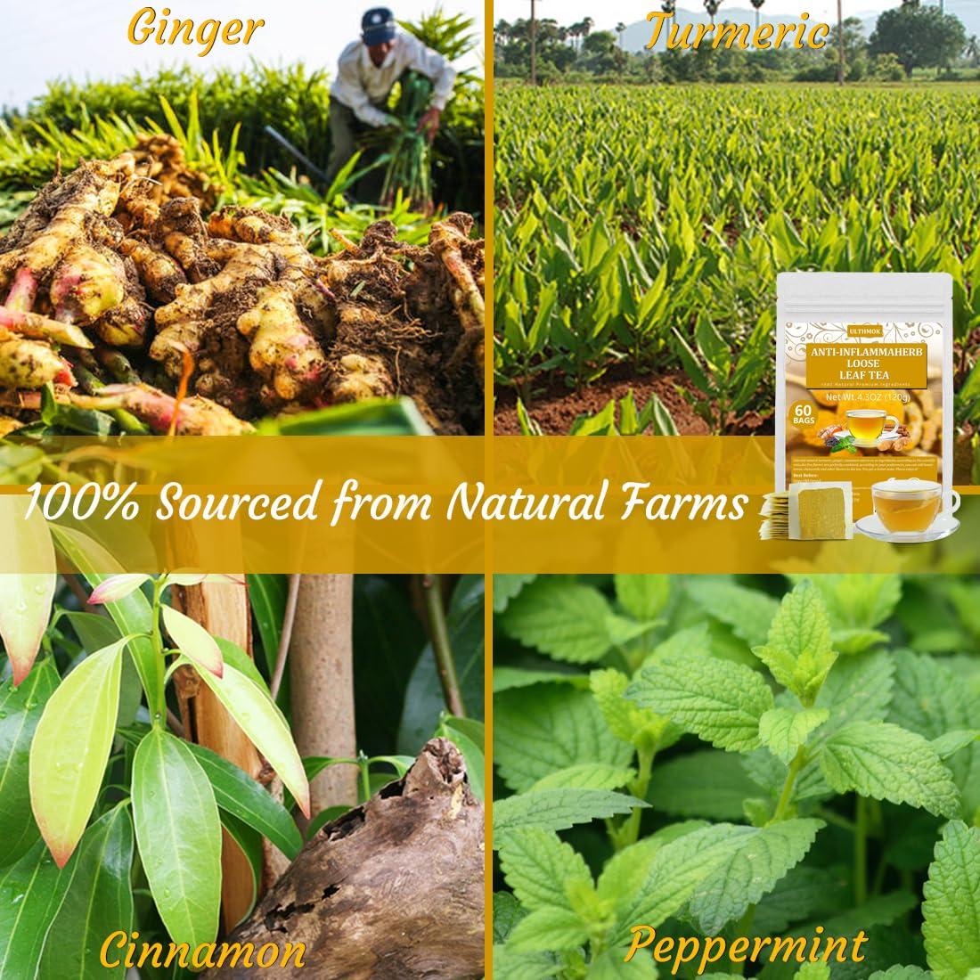 60 Bolsitas de Té Anti-Inflammaherb YILINSHA 100% Natural