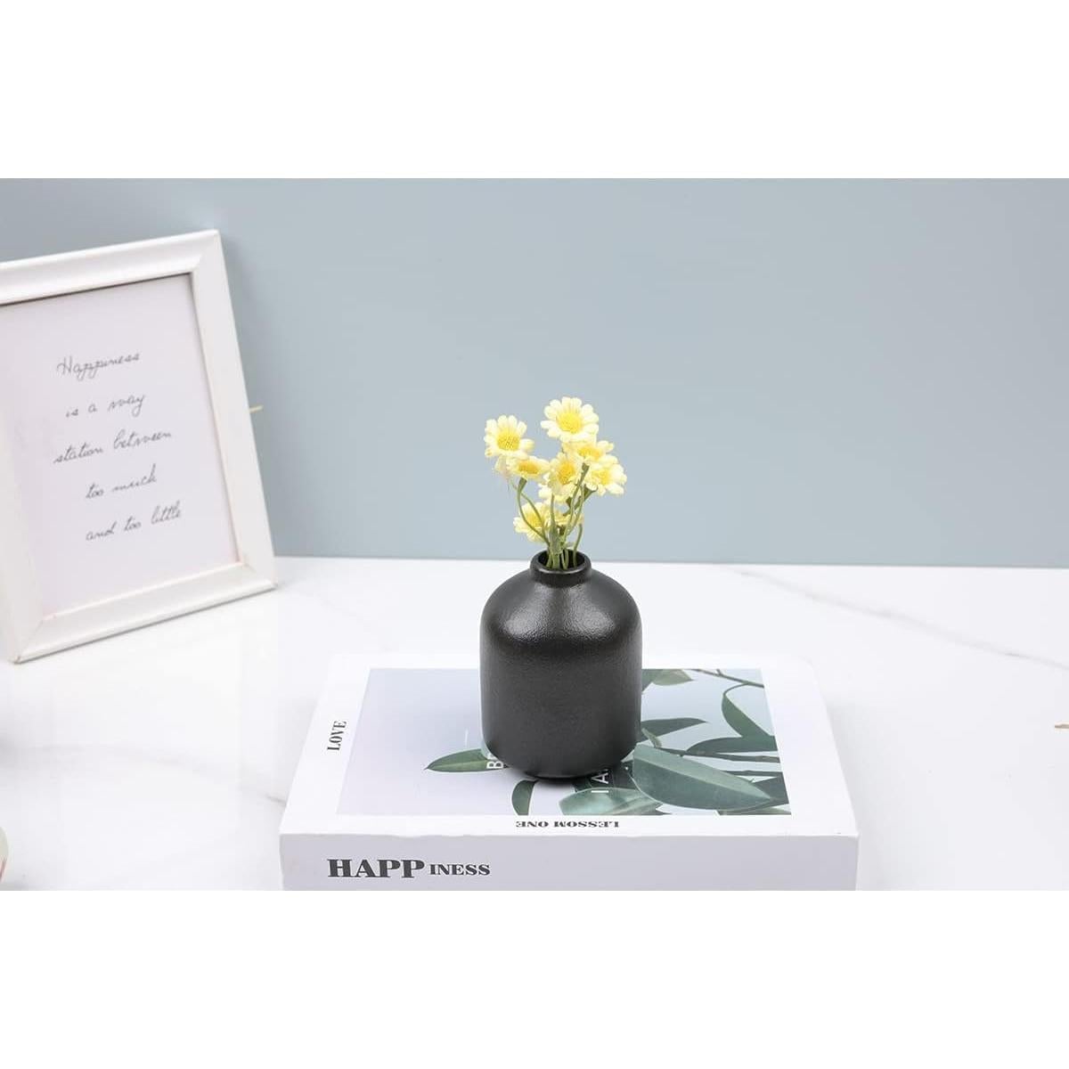 Conjunto de 6 Jarrones de Cerámica Negra Mate 9.8 cm UANYEMON