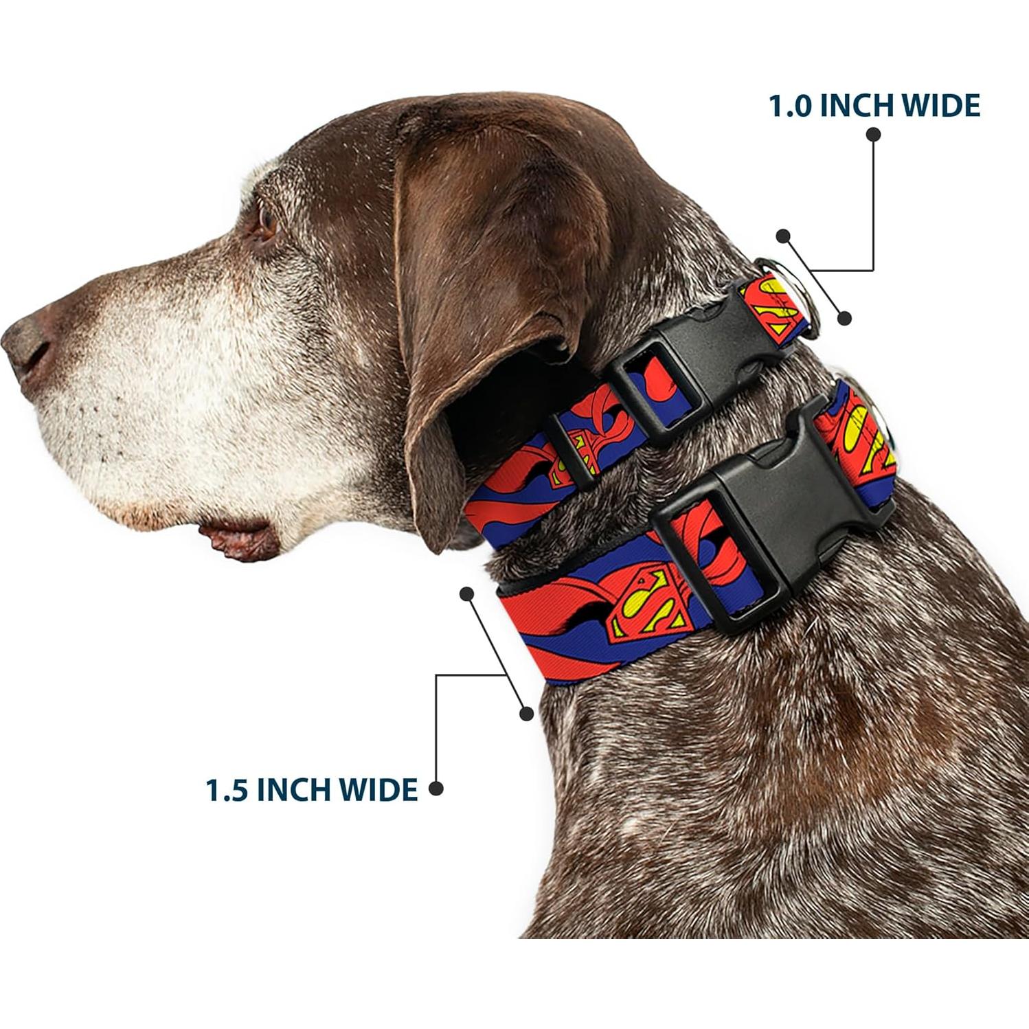 Collar de Perro Buckle-Down Superman 2.54 cm Ajustable Pequeño