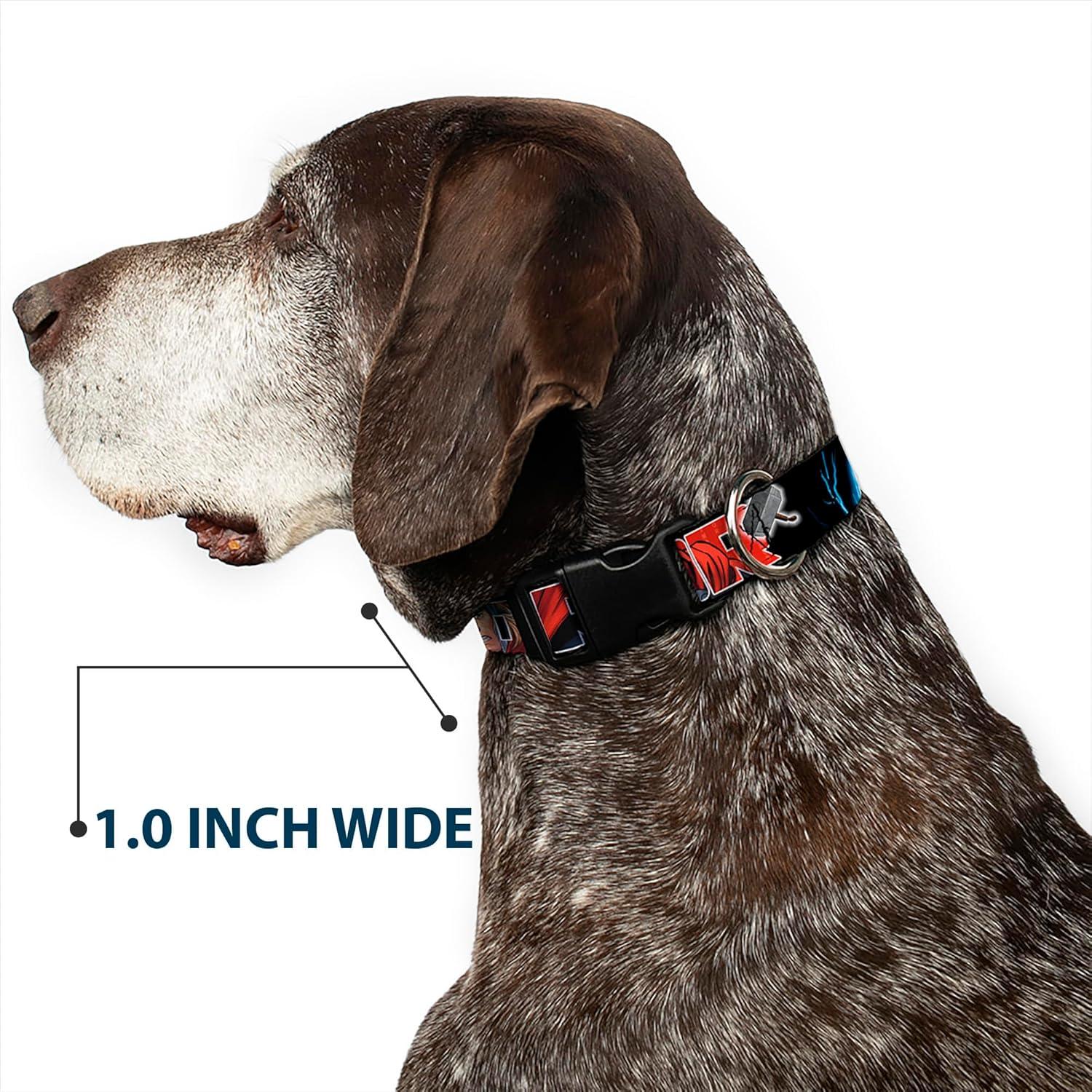 Collar de Perro Buckle-Down Thor 1.27 cm Ajustable 20-30 cm