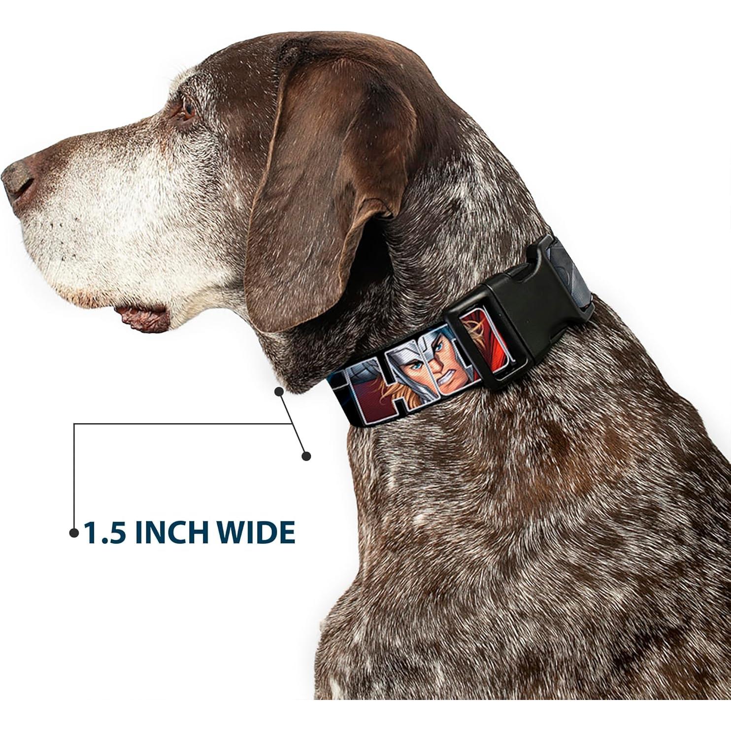 Collar de Perro Buckle-Down Thor 1.27 cm Ajustable 20-30 cm