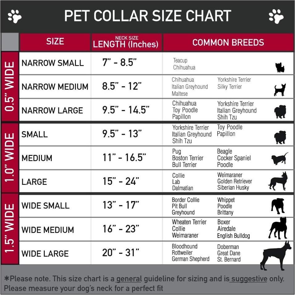 Collar de Perro Buckle-Down Thor 1.27 cm Ajustable 20-30 cm