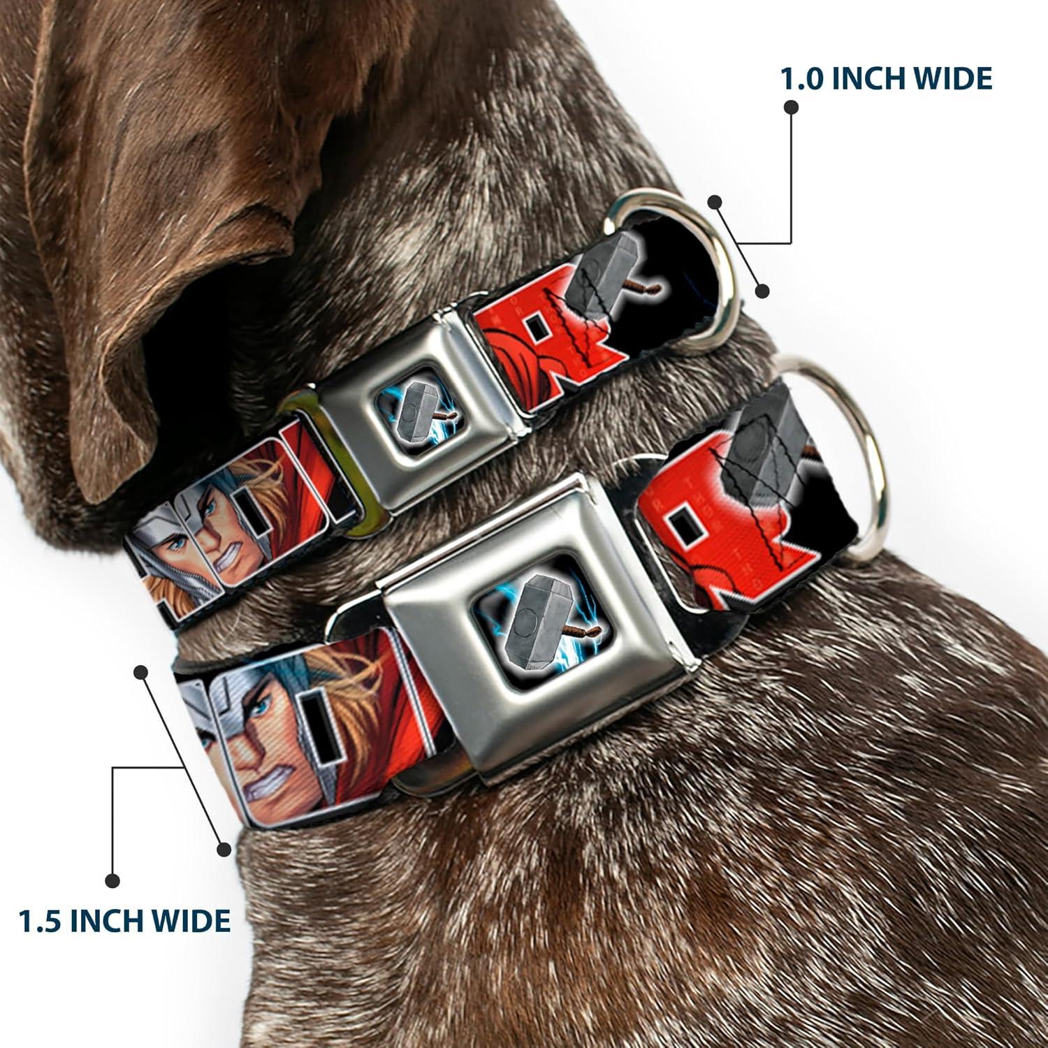 Collar de Perro Buckle-Down Thor 2.5cm Ancho 23-38cm Ajustable