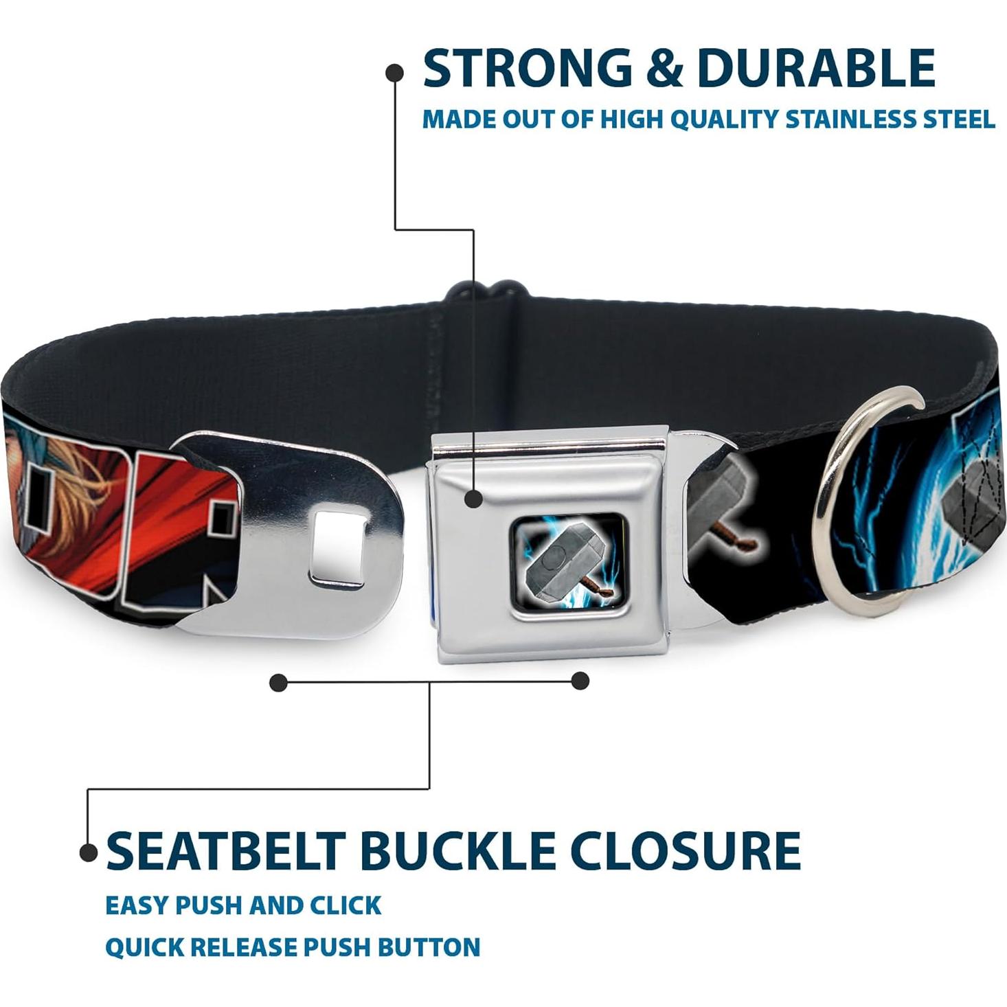 Collar de Perro Buckle-Down Thor 2.5cm Ancho 23-38cm Ajustable