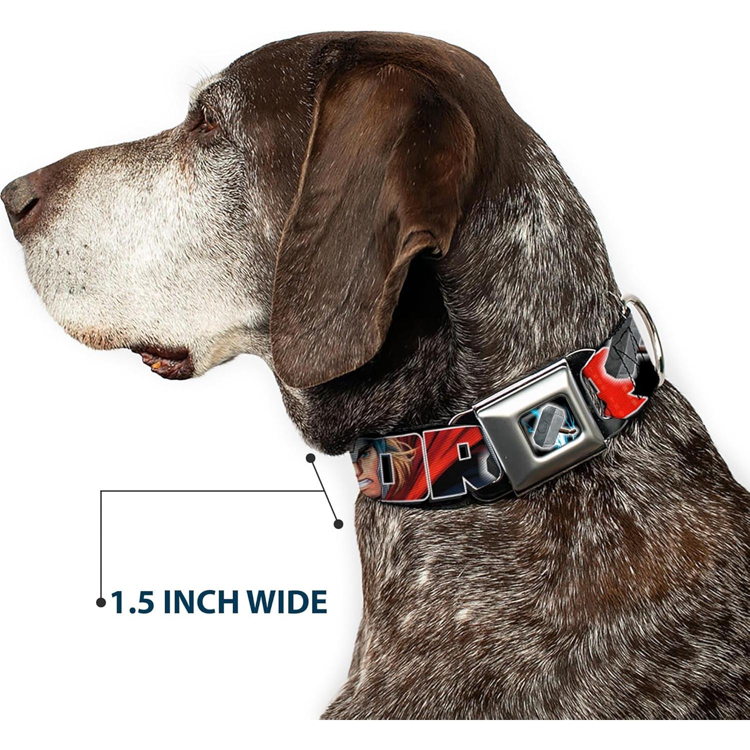 Collar de Perro Buckle-Down Thor 2.5cm Ancho 23-38cm Ajustable