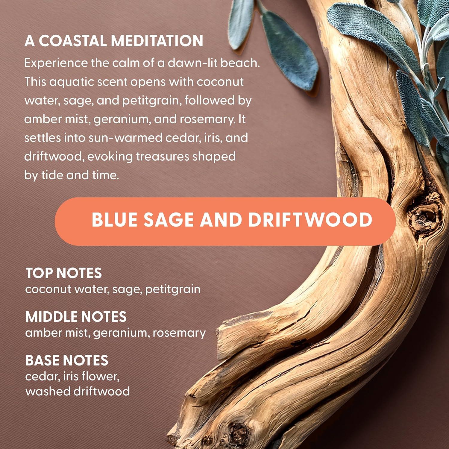 Cápsulas de Lavado Lavapod - Detergente Ecológico 60 Unidades