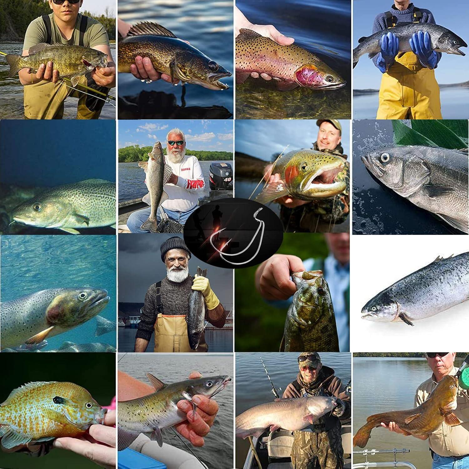 Ganchos de Lombriz Afmivs 110 Piezas 6 Tamaños Pesca