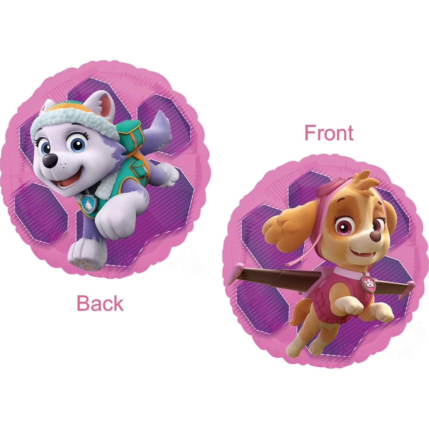 Globos de Aluminio Paw Patrol Skye y Everest - 5 Piezas
