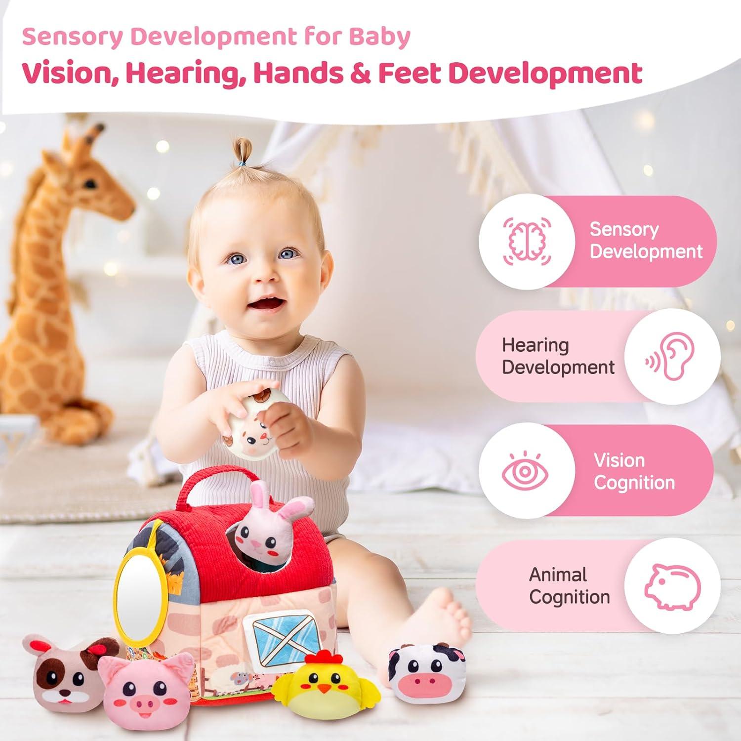 Juguetes Sensoriales para Bebés PADONISE 6-36 Meses