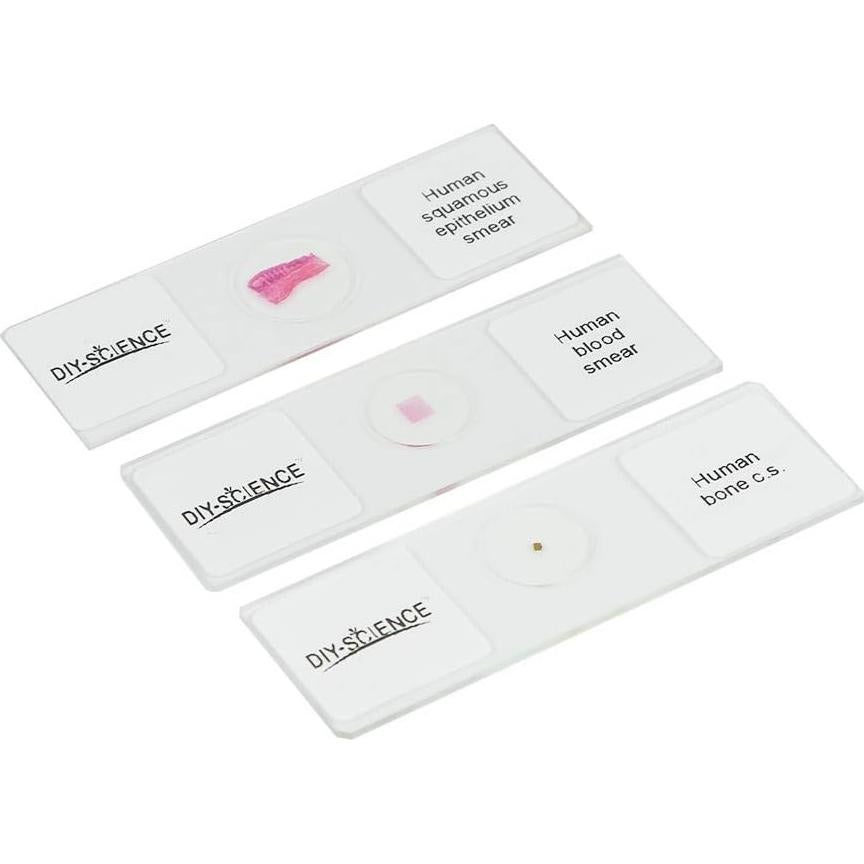 Juego de 17 Diapositivas de Microscopio Anatomía Humana DIY-SCIENCE