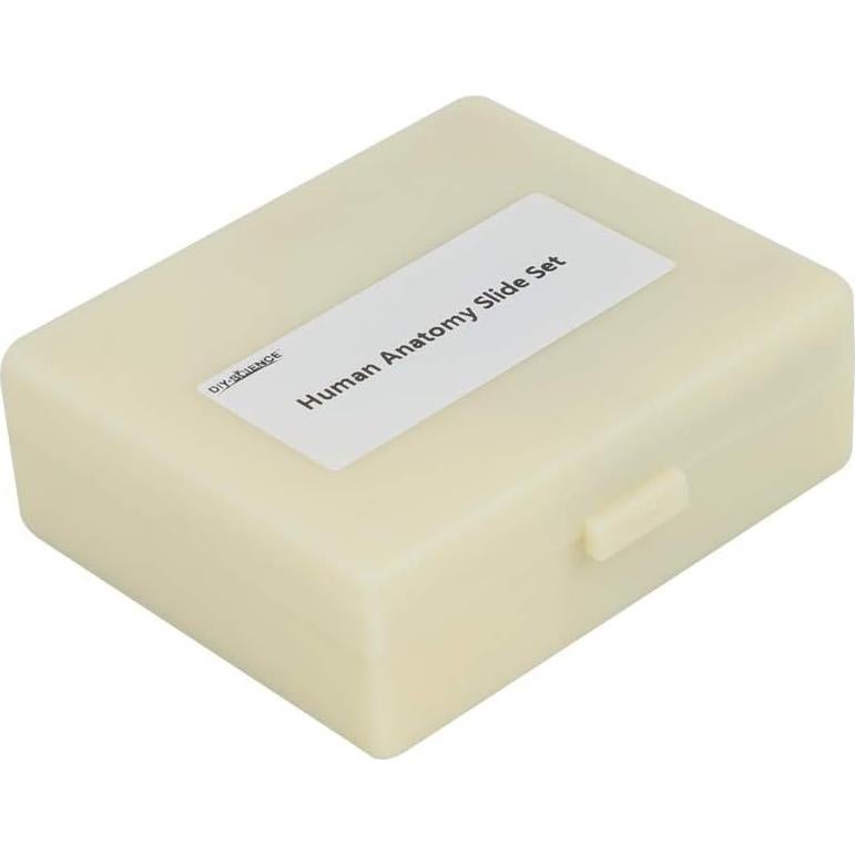 Juego de 17 Diapositivas de Microscopio Anatomía Humana DIY-SCIENCE
