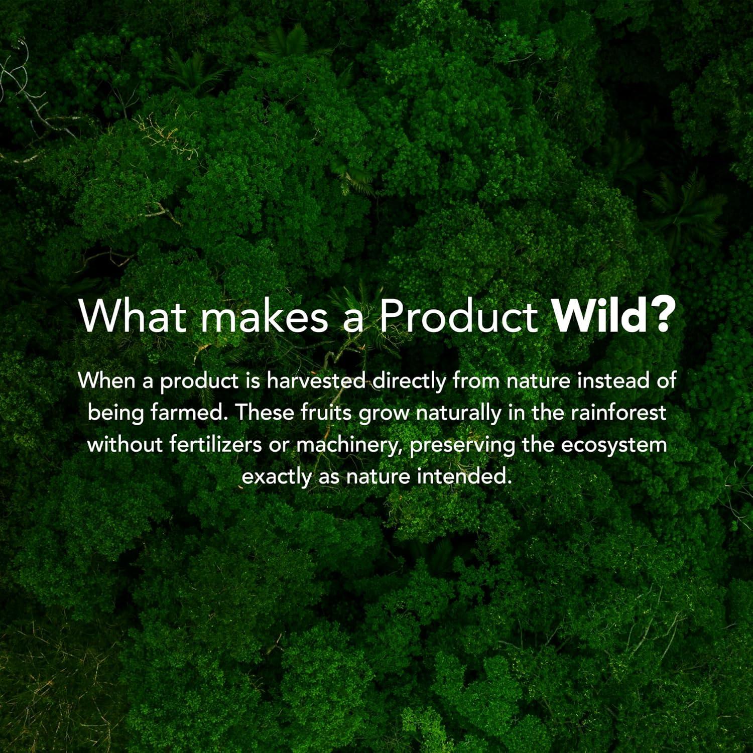 Polvo de Acaí Orgánico Liofilizado Es Buena Energía 117g