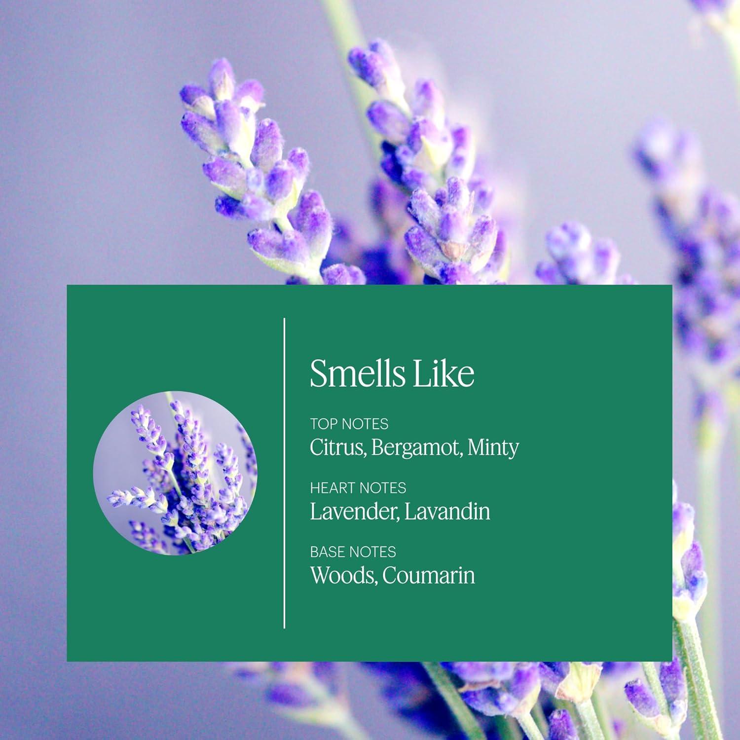 Aera Mini Difusor Aceite Esencial Lavanda y Bergamota 10ml