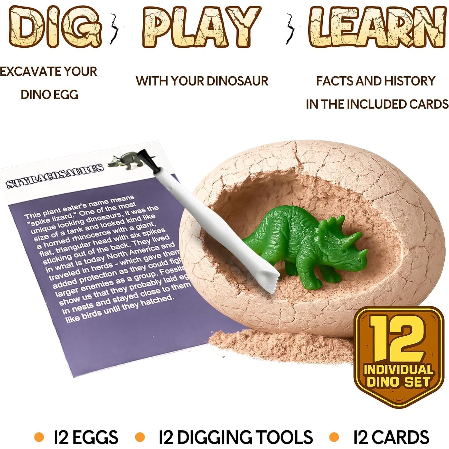 Kit de Excavación de Huevos de Dinosaurio KIDS KING 12 Piezas