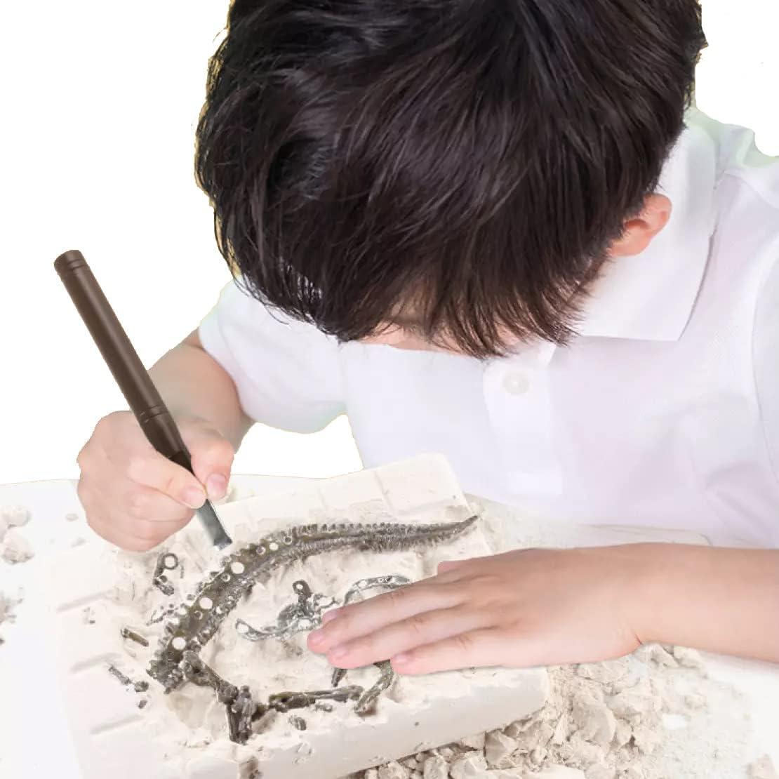 Kit Educativo Excavación Dinosaurio Stegosaurus 3D - Liberty Imports