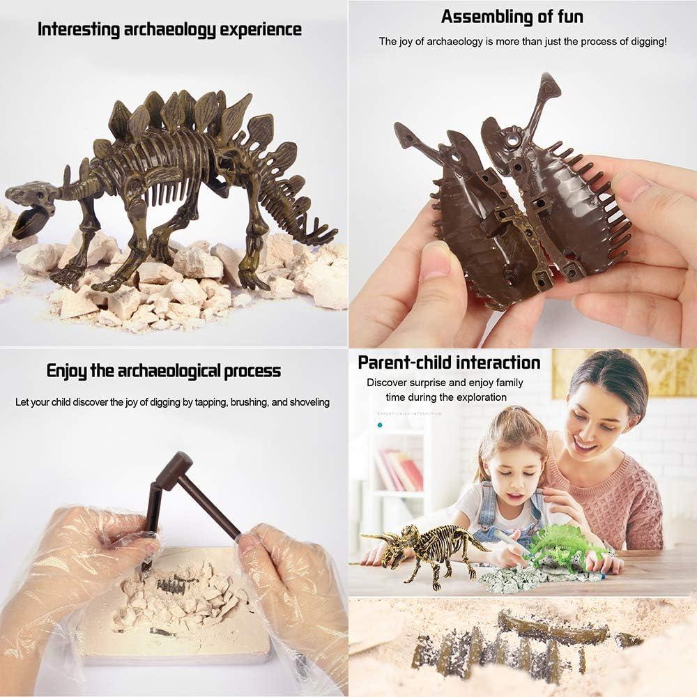 Kit Educativo Excavación Dinosaurio Stegosaurus 3D - Liberty Imports