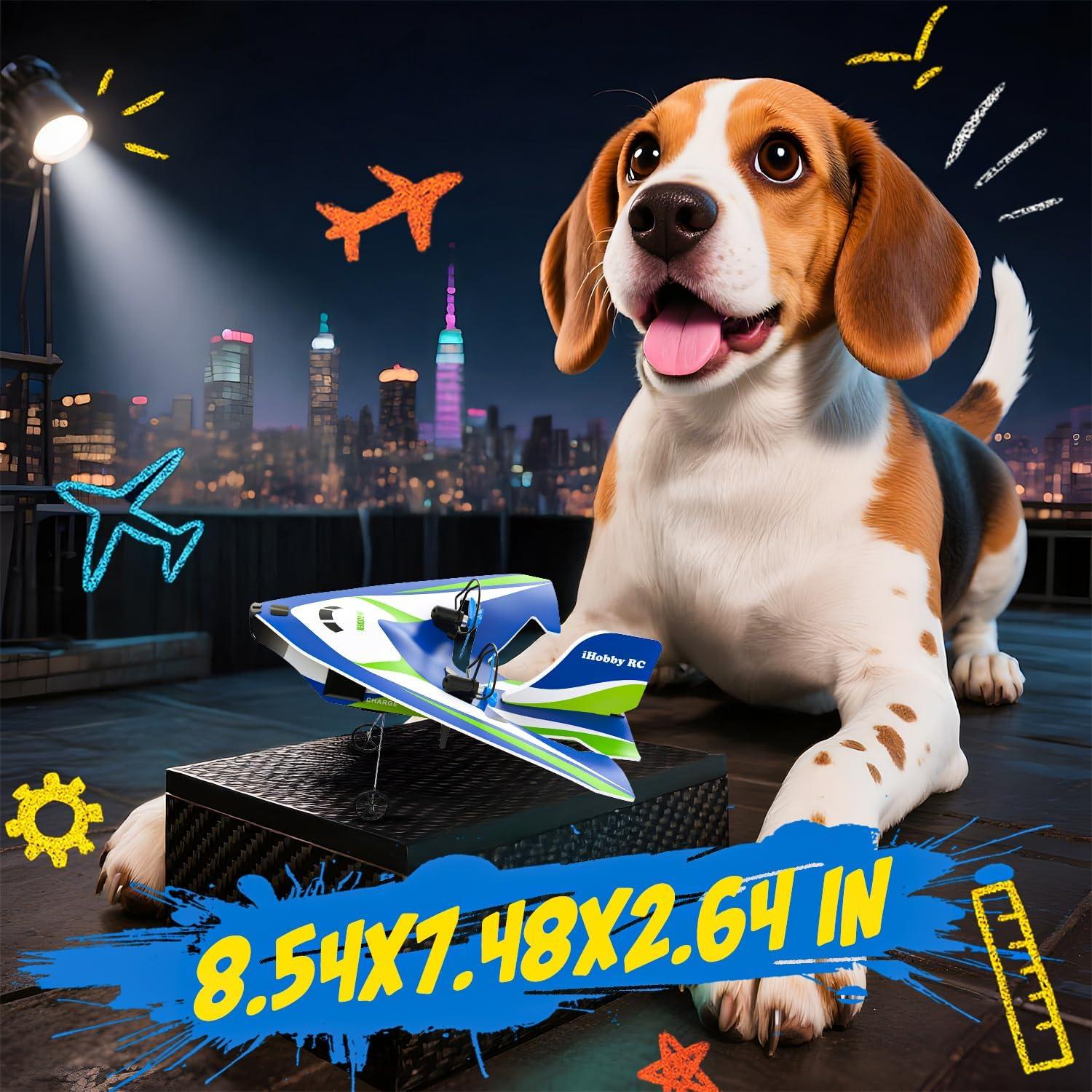 Avión RC Bezgar XC-H107B - 30 Min Vuelo, 3 Baterías