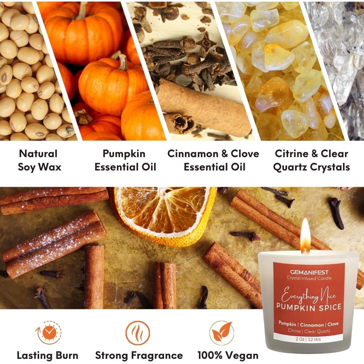 Vela de Soya con Especias de Calabaza GEMANIFEST 190g