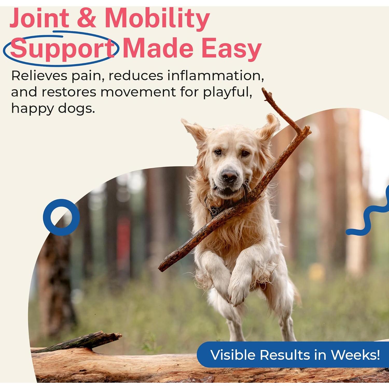 Suplemento de Glucosamina para Perros Petz Park - 800mg - 90 Cucharadas