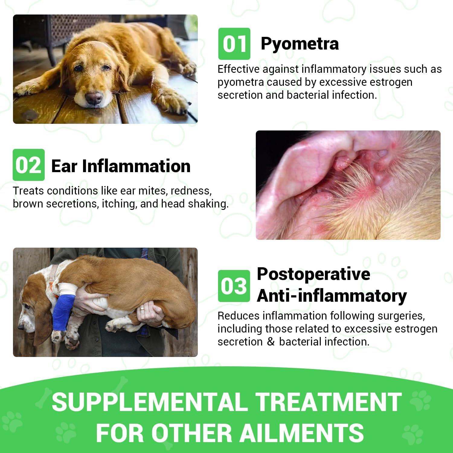 Cardo Mariano ProFluffyBio para Perros 56.7g - Soporte Hepático