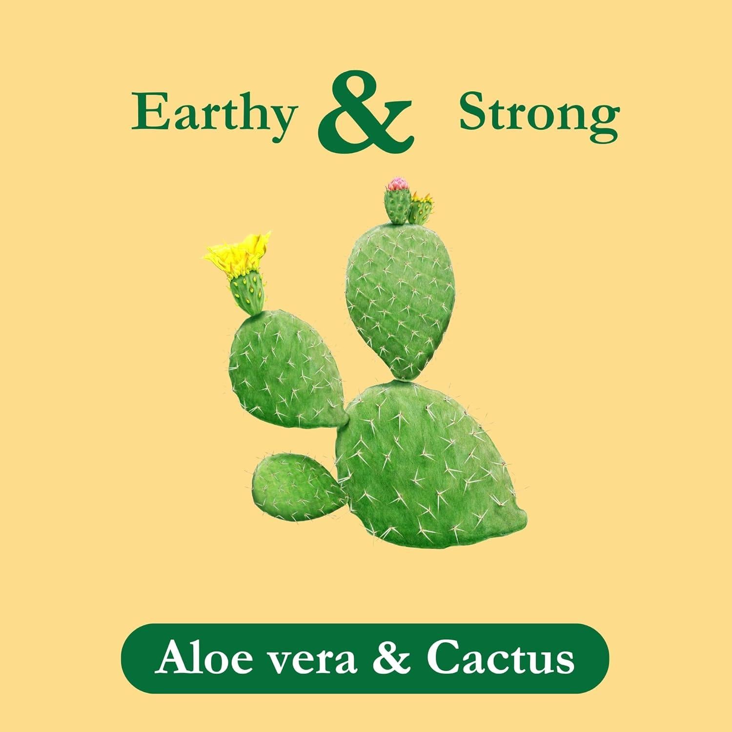 Té de Hierbas Tadin Aloe Vera y Nopal Sin Cafeína 144 Bolsitas