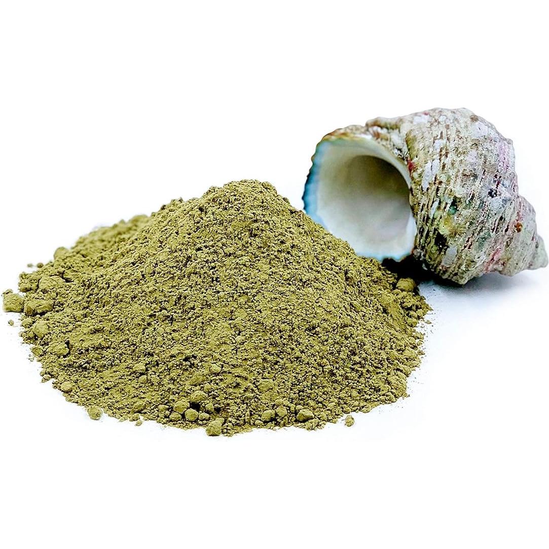 Polvo de Bladderwrack Orgánico 454 g - Mejor Botánicos