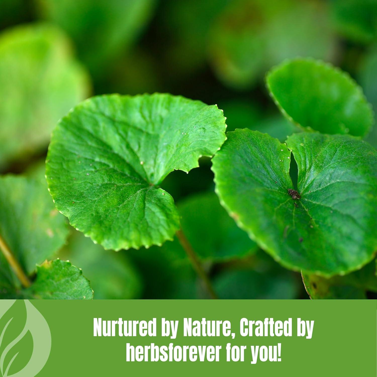 Polvo de Gotu Kola Herbsforever 230g | Centella Asiática Vegano