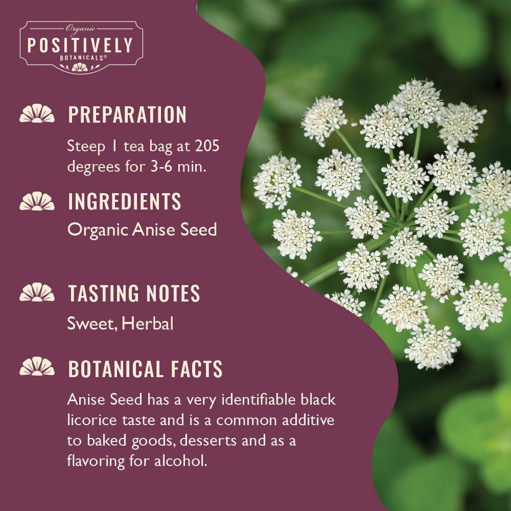 Bolsitas de Té Semilla de Anís Orgánico 20 Unidades Botánicos