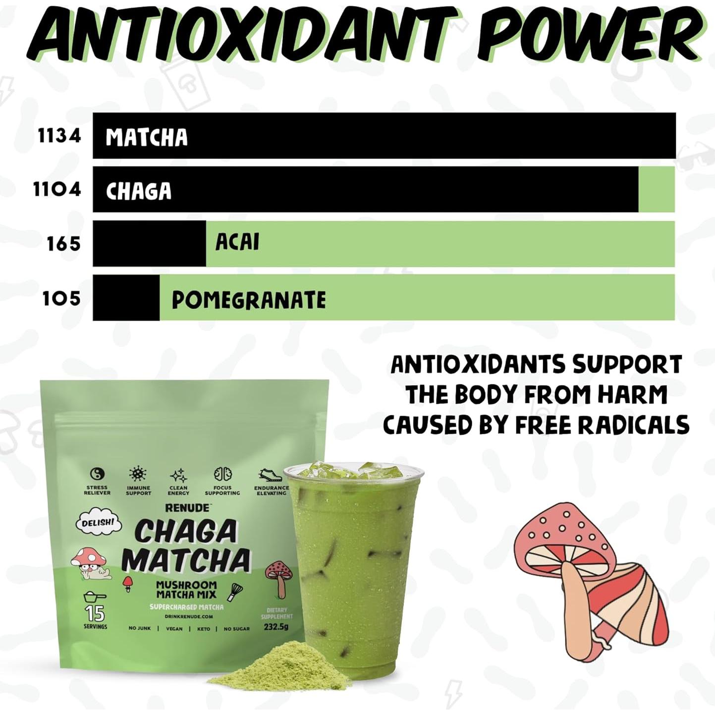 Renude Chaga Matcha - Polvo de Hongo Chaga 30 Porciones