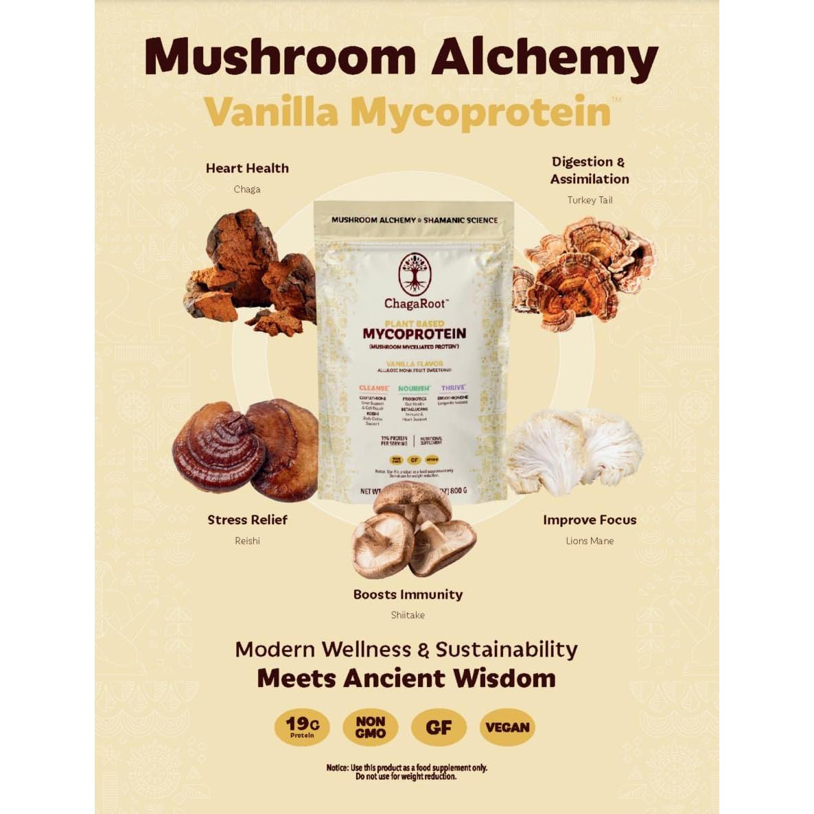 Proteína en Polvo Vegana ChagaRoot 800g - Hongos Funcionales