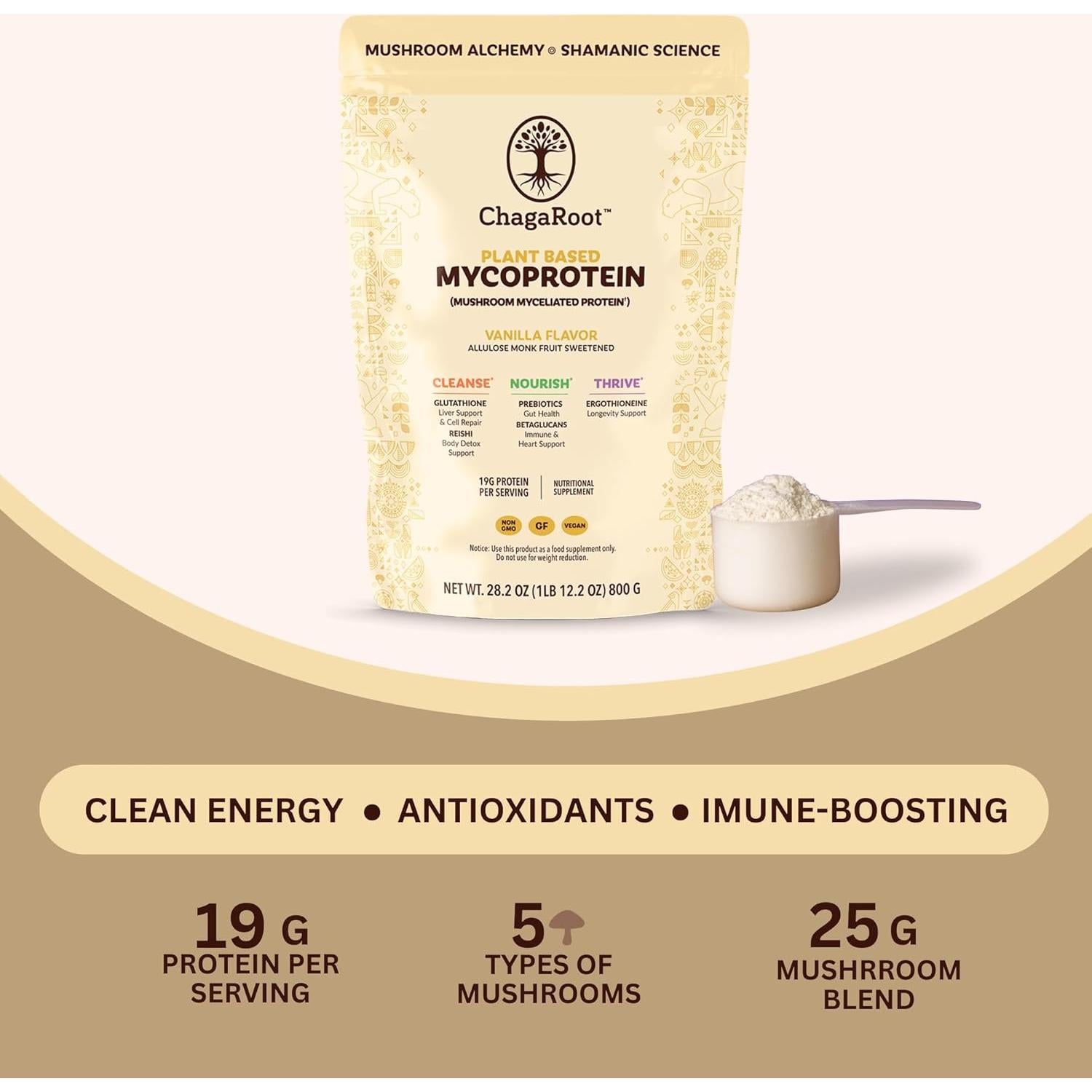 Proteína en Polvo Vegana ChagaRoot 800g - Hongos Funcionales