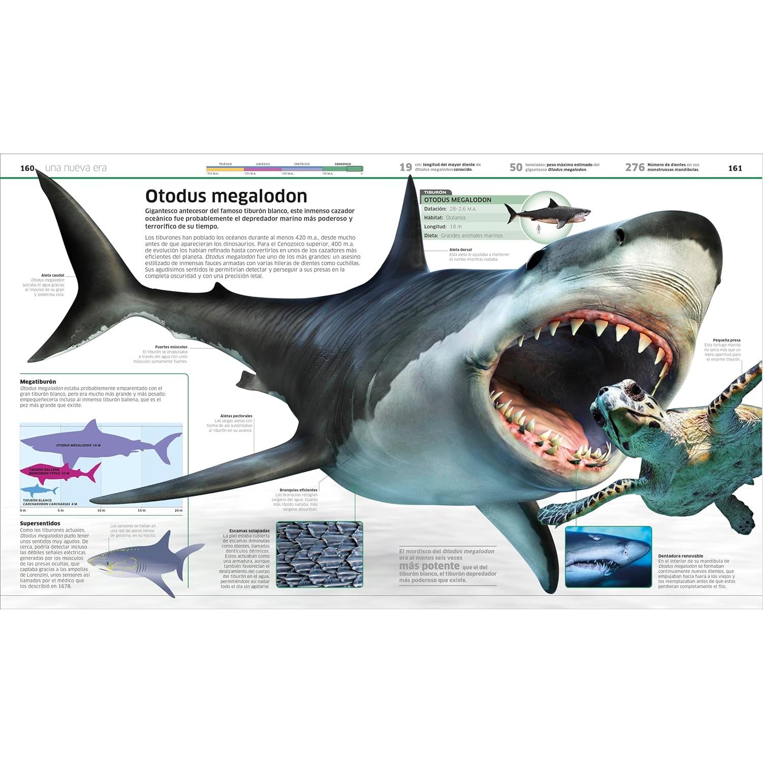 Dinosaurios (Knowledge Encyclopedia Dinosaur!): Segunda edicion (Spanish Edition)