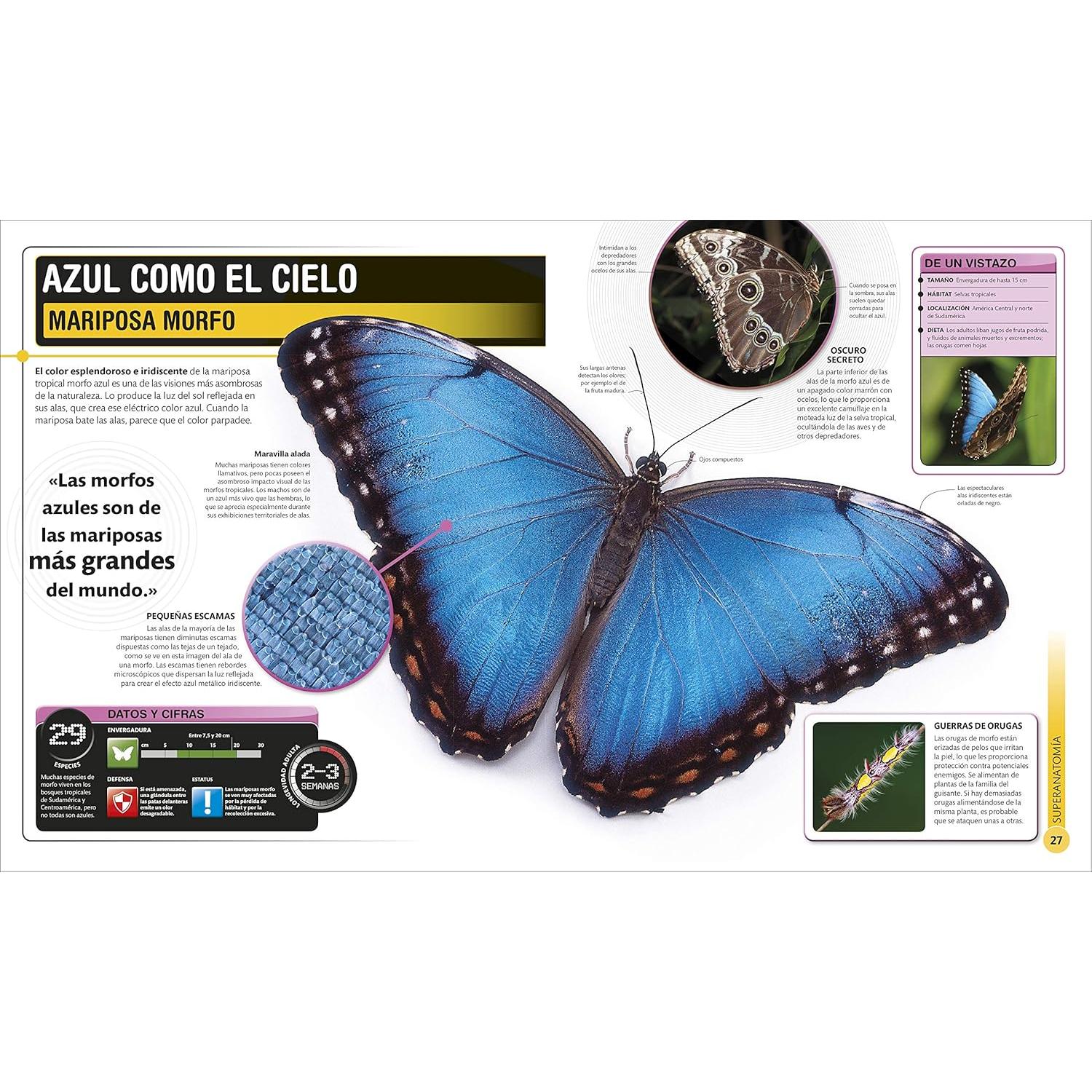 Super Insectos (Super Bug Encyclopedia): Los insectos más grandes, rápidos, mortales y espeluznantes (DK Super Nature Encyclopedias) (Spanish Edition)