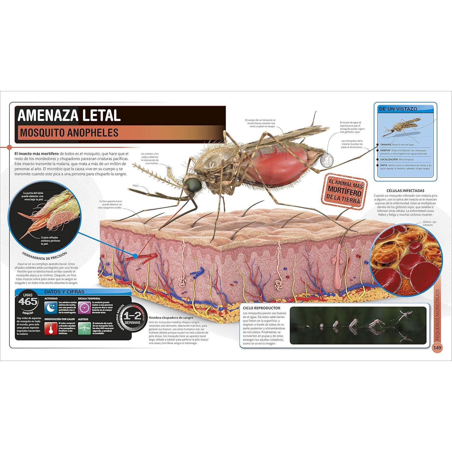 Super Insectos (Super Bug Encyclopedia): Los insectos más grandes, rápidos, mortales y espeluznantes (DK Super Nature Encyclopedias) (Spanish Edition)
