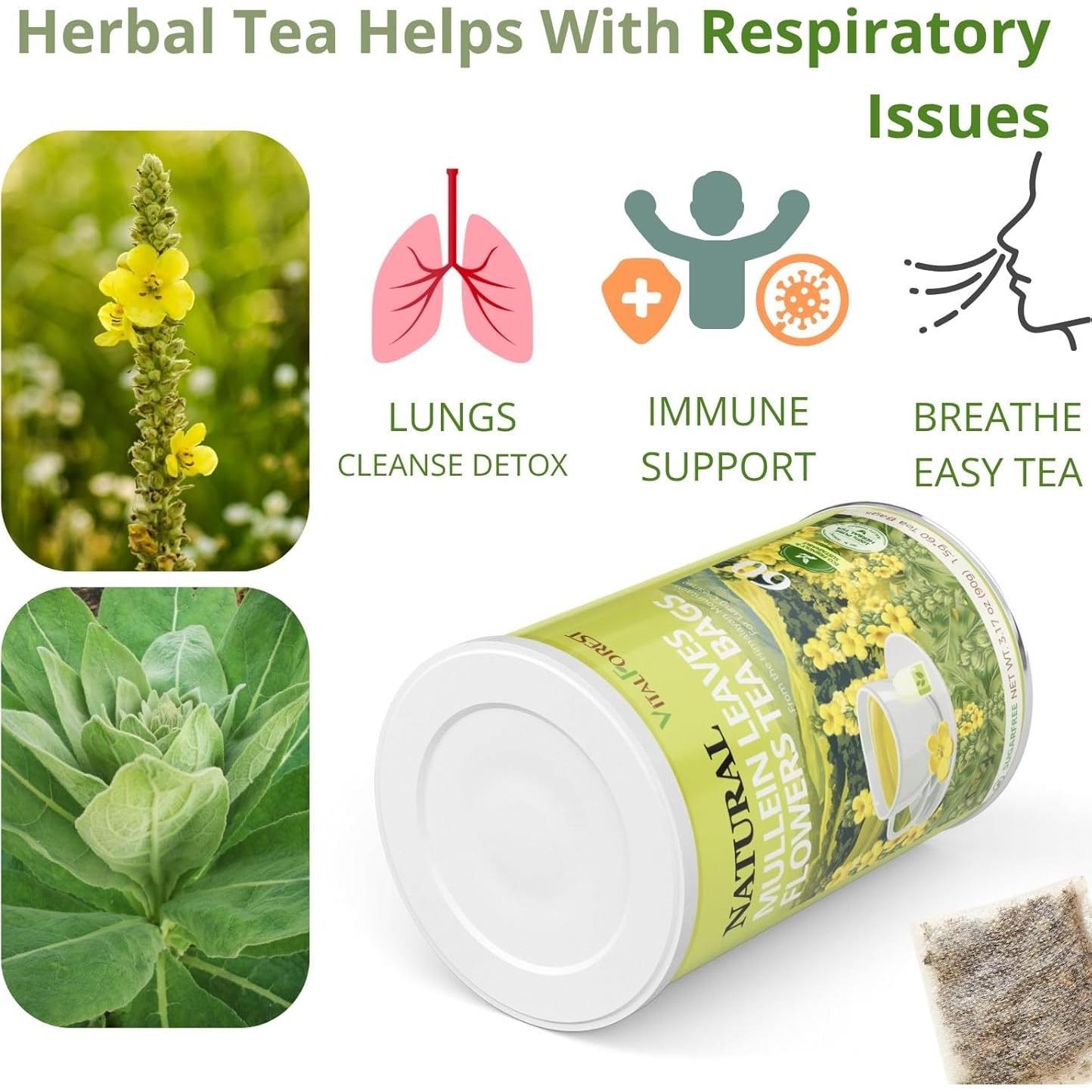 Té de Mullein VitalForest - 60 Bolsitas Ecológicas para Pulmones